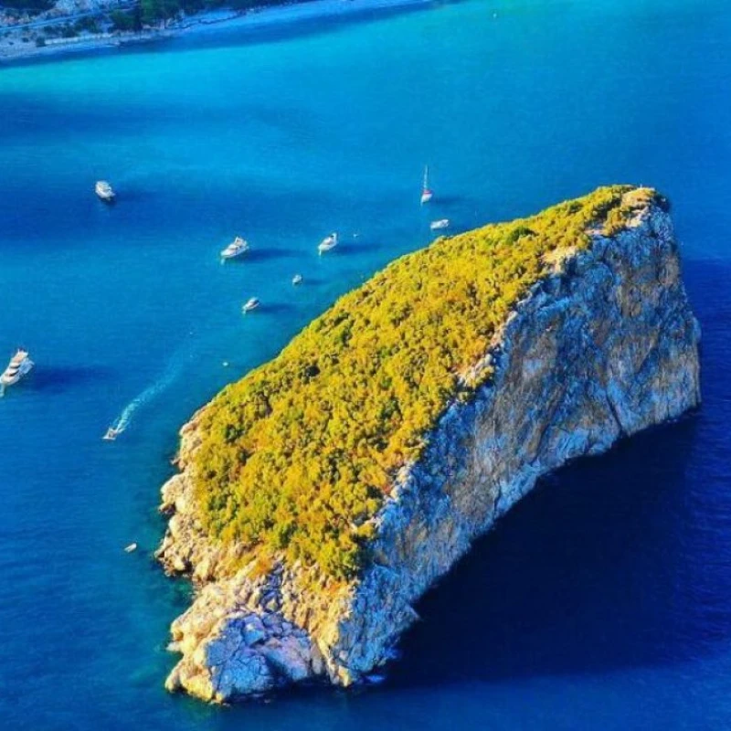 Island and Calticak Cove